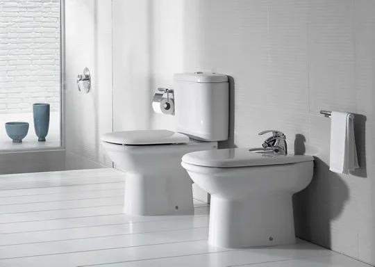 Крышка-сидение с микролифтом Roca Giralda дюропласт ZRU9000047 (детальная фотография), в наличии