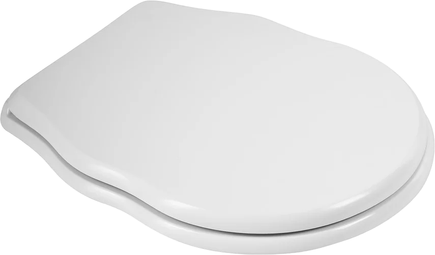 Крышка-сиденье с микролифтом BelBagno Boheme дюропласт BB115SC (детальная фотография), с микролифтом