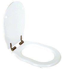 Сиденье для унитаза, фурнитура бронза, Tiffany World Bristol