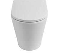 Чаша для унитаза-компакта BelBagno Flay-R с сиденьем дюропласт