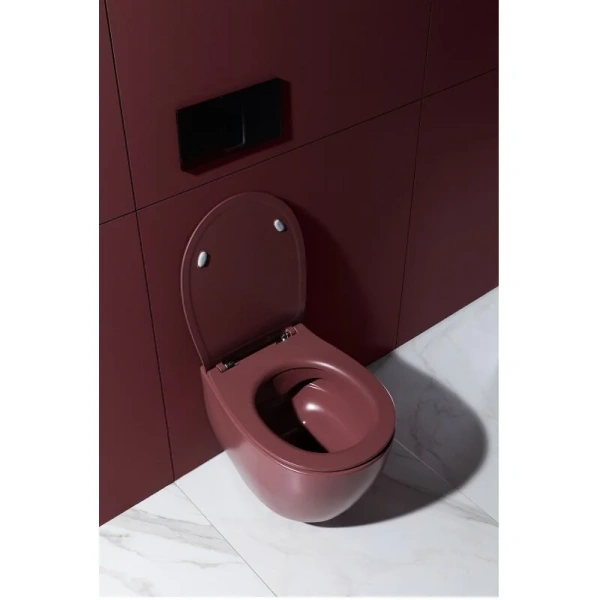 Унитаз подвесной Allen Brau Fantasy бордо 4.11004.BD (детальная фотография), нет в наличии
