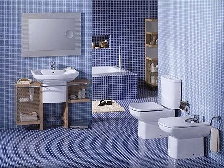 Крышка-сидение с микролифтом Roca Dama Senso белая ZRU9302820 (детальная фотография) index_2