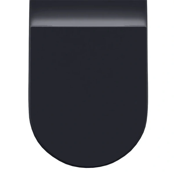 Крышка-сидение с микролифтом Allen Brau Reality черная 4.32007.31 (детальная фотография), с микролифтом