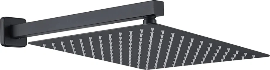 Верхний душ BERGES Ventas черный 074002 (детальная фотография), верхние души