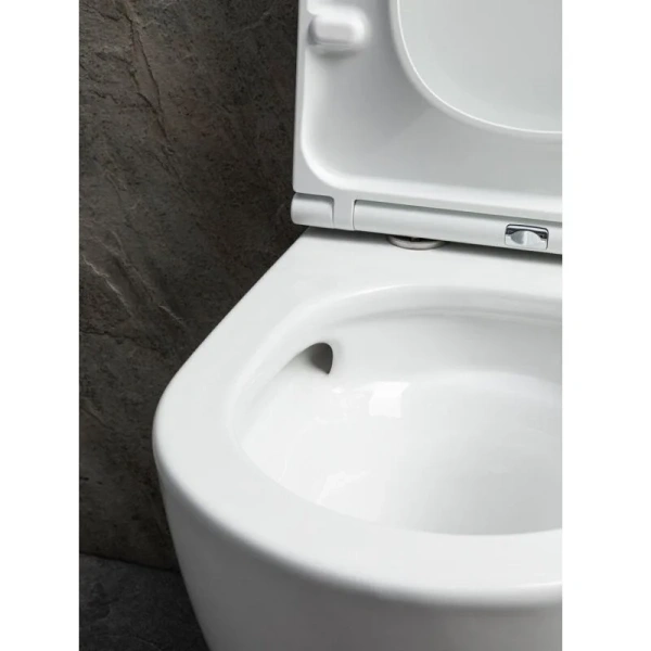 Унитаз подвесной Allen Brau Priority белый глянец 4.31009.20 (детальная фотография), с горизонтальным, прямым выпуском, с прямым выпуском