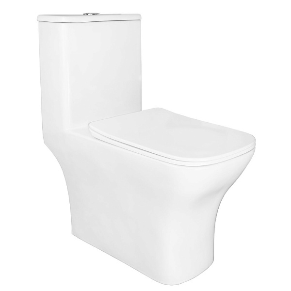 Унитаз моноблок Azario Lodi с функцией биде AZ-8617B (детальная фотография)