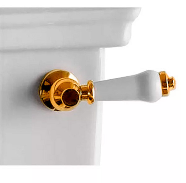 Ручка для бачка, цвет белый, фурнитура светлое золото, Devon&Devon IB1042AGM (детальная фотография)