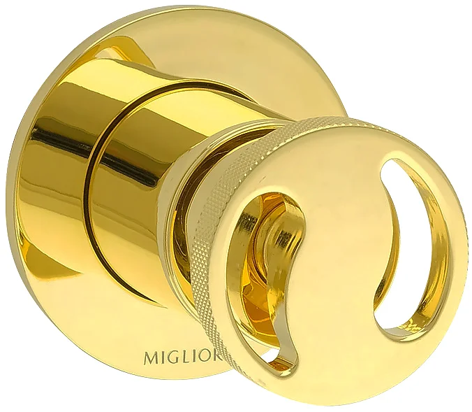 Смеситель для душа Migliore Reversa золото 28202 (детальная фотография), для душа