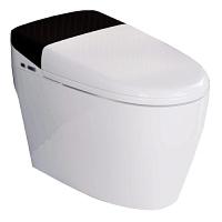 Унитаз напольный RGW SW-31 с функцией биде