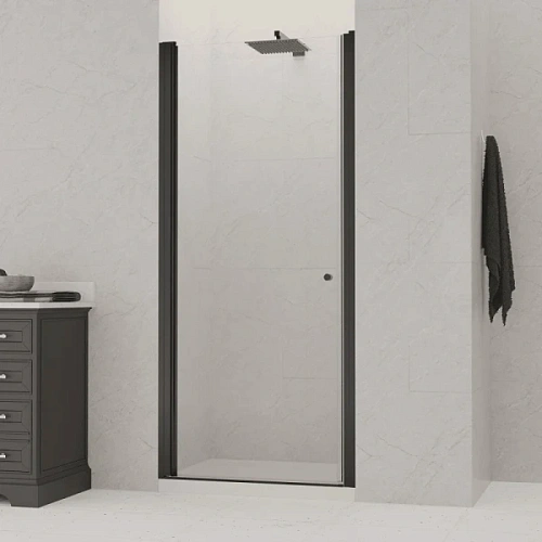 Душевая дверь в нишу RGW Dolphin TN-03-B 80 см профиль черный, стекло прозрачное - фото 2