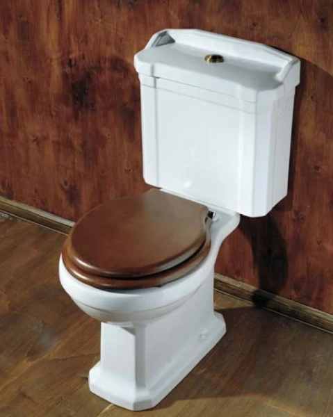 Унитаз под бачок с высокой трубой Azzurra Guinone GIU 100 (детальная фотография), фарфор, керамика