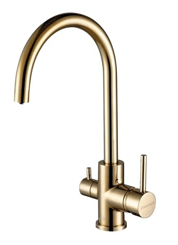 Смеситель для кухни Paulmark Essen золотой - фото 18