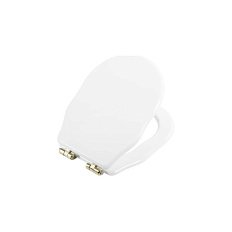 Крышка-сидение с микролифтом BelBagno Boheme петли золото