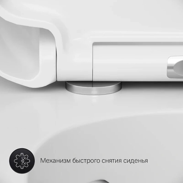 Унитаз подвесной Am.Pm Sensation с гигиеническим душем CK30H0904W (детальная фотография), в наличии
