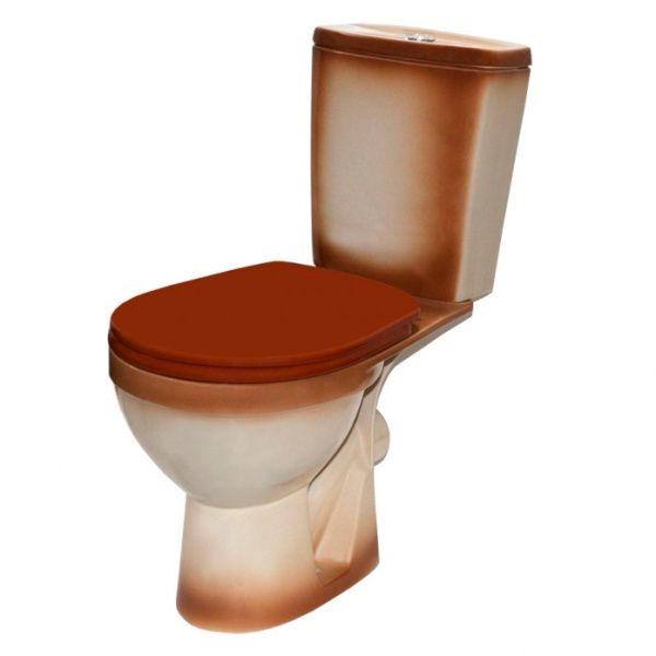 Унитаз компакт Rosa Рио коричневый Вн УнК315 (детальная фотография)