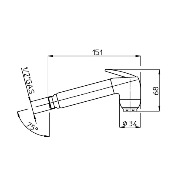 Гигиенический душ Bossini B00661 CR B00661.030 (детальная фотография), с лейкой