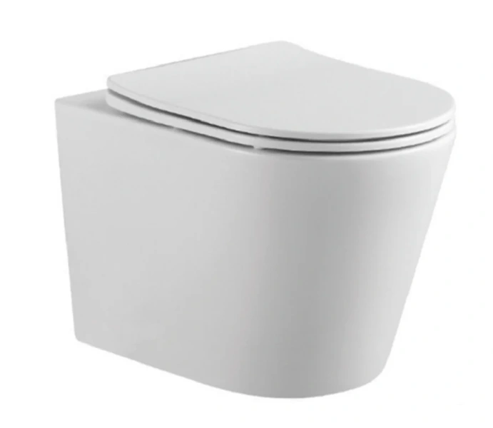 Унитаз подвесной Акватек Вега белый AQ1904T-00 (детальная фотография)