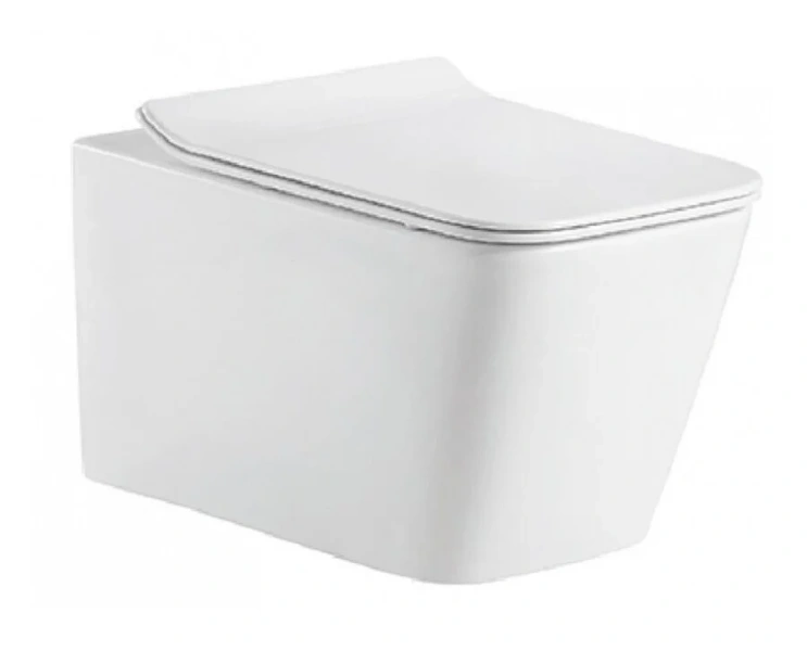 Унитаз подвесной Bravat Manno C21201UW-RUS (детальная фотография)