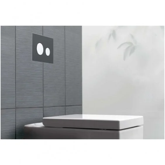 Клавиша смыва Tece TECEloop 92406 пластиковая (детальная фотография), белые, хром, другие