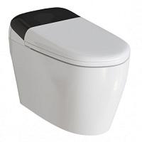 Унитаз напольный RGW SW-30 с функцией биде