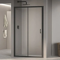 Душевая дверь RGW PA-14B 110 см профиль черный, стекло прозрачное